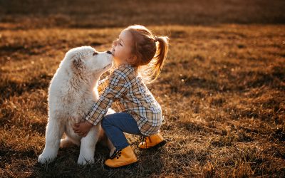 Bedingungslose Liebe – Ein Assistenzhund für Marlies